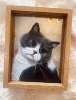 Pet Custom Glass Painting