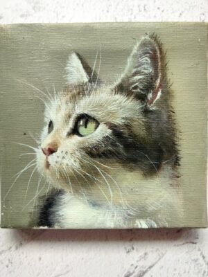 Screenshot_2025-07-17-15-42-59-16_a2db1b9502c98f25523e43284b79cce6