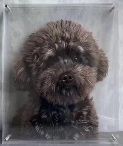 Click to view full screen Pet Custom Glass Painting photo review