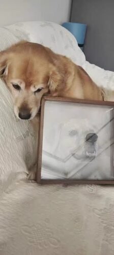 Click to view full screen Pet Custom Glass Painting photo review