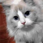 Pet custom DIY handmade oil painting photo review