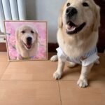Pet custom DIY handmade oil painting photo review