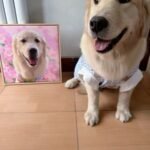 Pet custom DIY handmade oil painting photo review